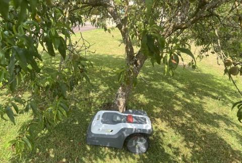 RoboUP T1200 Pro : 799 € seulement le robot tondeuse avec garage offert, le bon plan de fin août à saisir