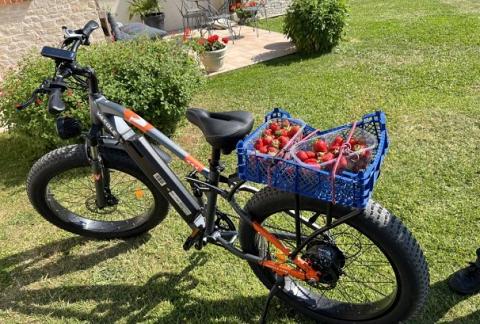 Test Fat Bike Electrique VAKOLE C026, le plaisir hors des sentiers battus