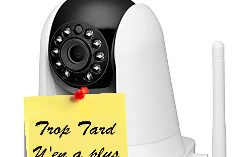 Deux caméras wifi D-Link DCS-5020L panoramique avec (…)