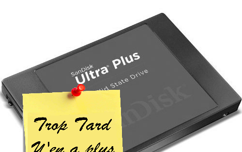 SSD SanDisk Ultra Plus 256GO à 114€90 livré