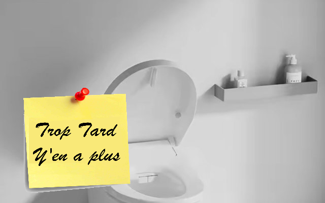 Toilettes automatiques à la japonaise Xiaomi Smartmi 2 (...)