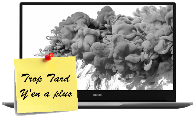 Le PC Portable Honor MagicBook 14 - 14" Full HD, Ryzen (...)