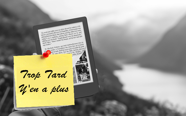 Liseuse ebook 6" Vivlio Light Zen Noir à 84,99€