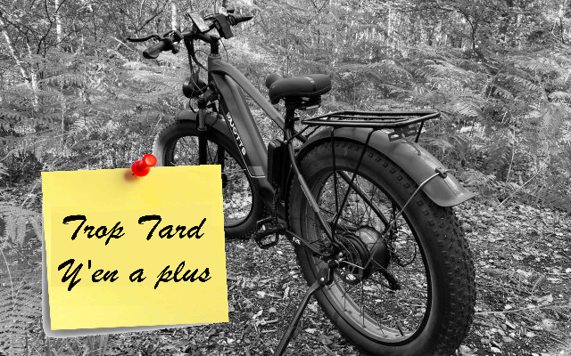 Duotts F26, un Fat Bike 26 pouces double moteur 750 (...)