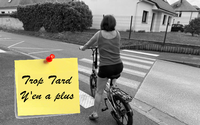 Le Engwe P1, vélo électrique pliant performant pour tous (...)