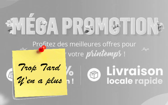 Mega Vente de Mars 2026 : bons plans tech et maison (…)