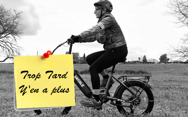 Le Vakole VT4, Fat Bike électrique pliant à cadre (…)