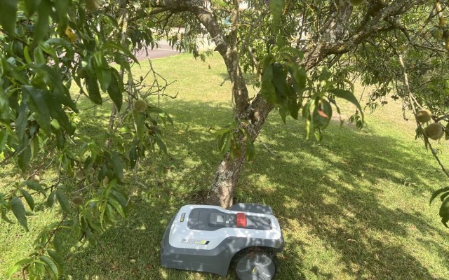 RoboUP T1200 Pro : 799 € seulement le robot tondeuse (...) à la une
