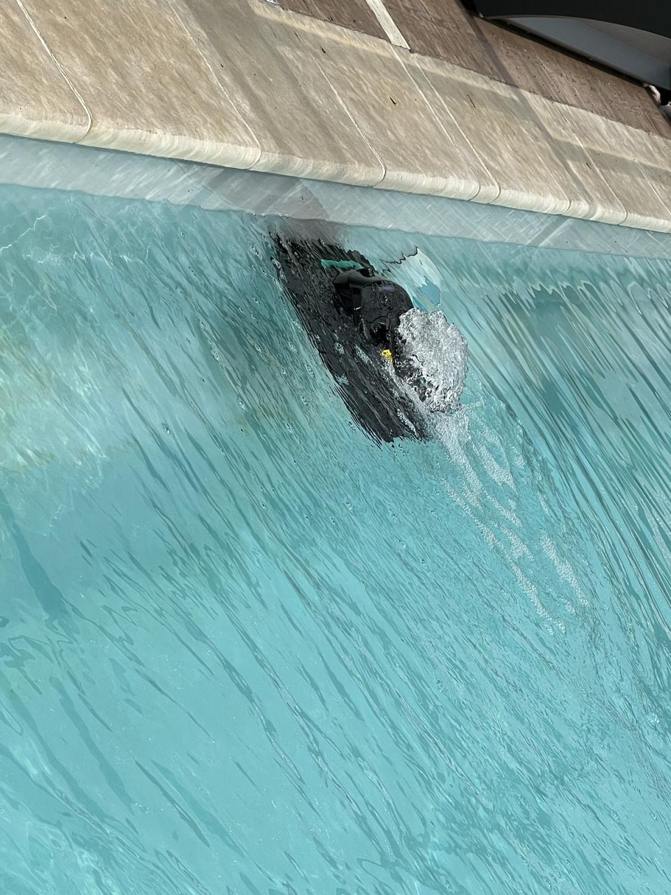 Nettoyage de la ligne d'eau en cours