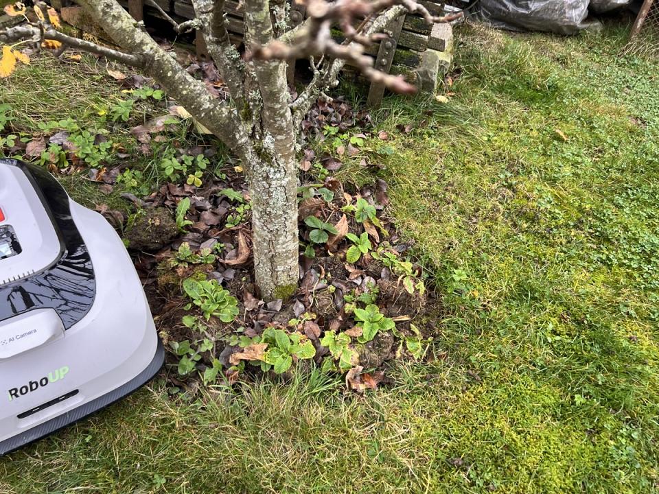 Précis dans ses contournements d'obstacle