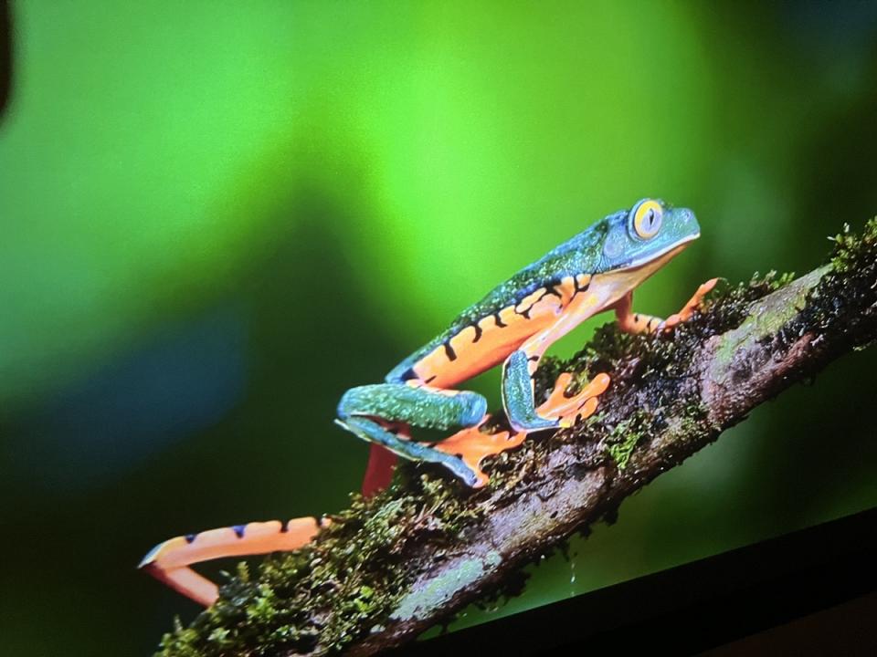 Une très bonne qualité d'image