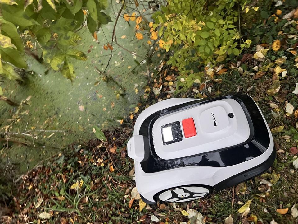 Le têtard veut retourner dans l'eau… ?