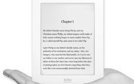 Liseuse numérique Kobo e-Book Reader Mini tactile 39,90€