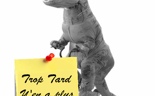 Costume de Dinosaure Gonflable Adulte à 32€58