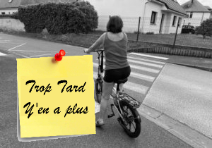 Le Engwe P1, vélo électrique pliant performant pour tous (...)