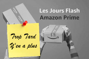 Deal expiré Amazon Flash Prime Day, idéal pour anticiper les cadeaux (…)