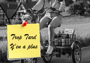 Cysum T1 Pro : le tricycle électrique adapté pour les (...)