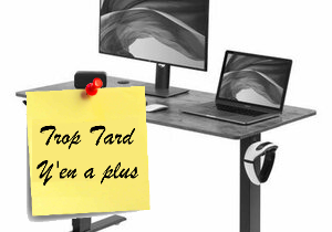 VEVOR Bureau Assis-Debout Électrique, 3 mémoires anti (...)