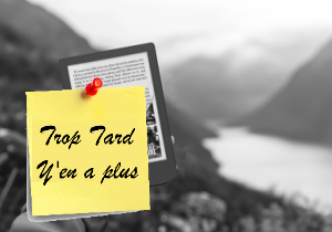 Liseuse ebook 6" Vivlio Light Zen Noir à 84,99€