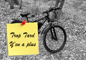 Le VTT électrique DUOTTS C29 , 29 pouces puissant à 839€ (...)