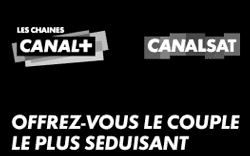Canalplus + Canalsat + multi écran etc 29€90 par mois (…)