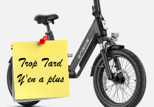 Vélo électrique ENGWE L20 3.0 Boost, la polyvalence au (...)