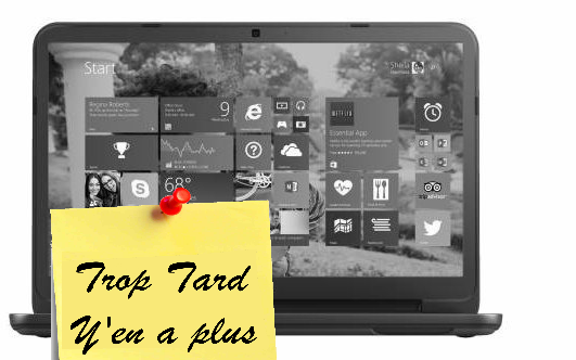 PC Portable Dell 15.6" Inspiron 3531 à 198€79 livré