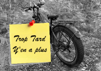 Deal expiré Duotts F26, un Fat Bike 26 pouces double moteur 750 (…)