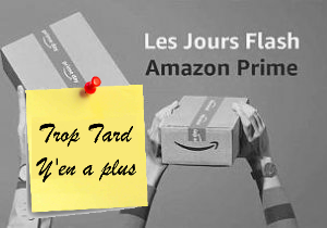 Deal expiré Amazon Flash Prime Day, idéal pour anticiper les cadeaux (...)