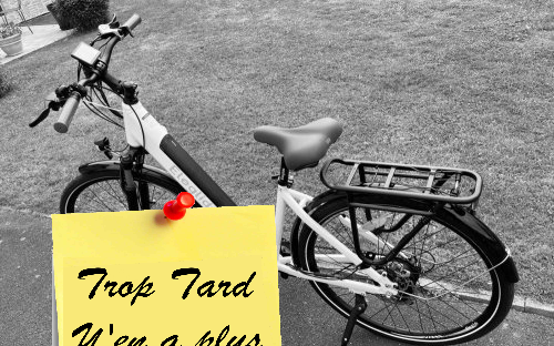 Le très beau vélo électrique ELEGLIDE T1 step thru à (...)