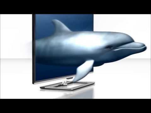 Impossible de lire la video